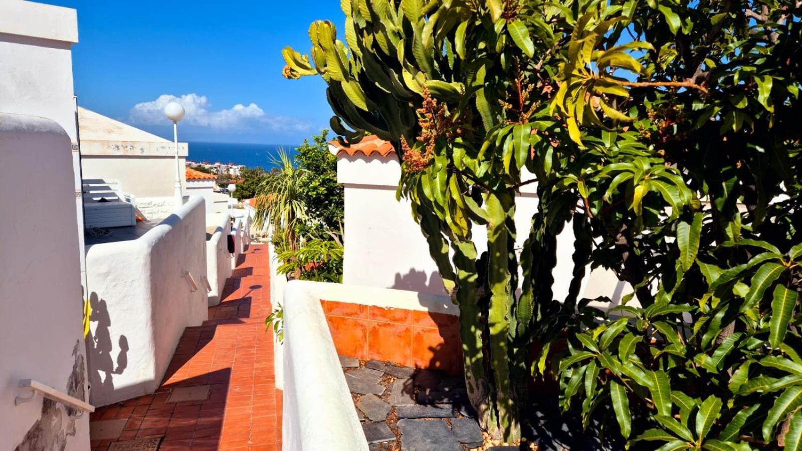 Costa Adeje Bungalow -Tenerife מראה חיצוני תמונה